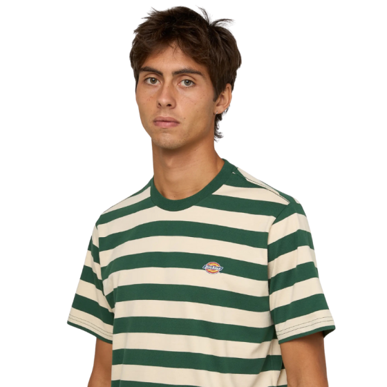 Футболка Dickies Rivergrove Ss Tee DK0A4Y8YPIN1 (pine needle green)