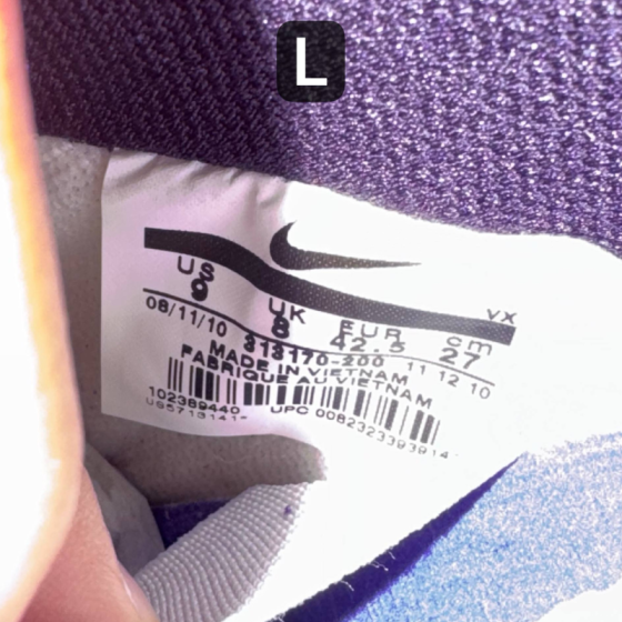 Кеды Nike SB Dunk Low Premium "Kenny Powers" 313170-200 (bison-varsity purple)