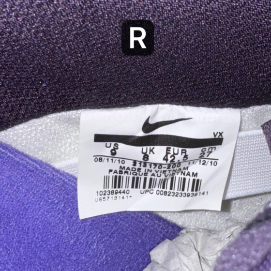 Кеды Nike SB Dunk Low Premium "Kenny Powers" 313170-200 (bison-varsity purple)