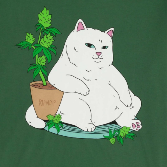 Футболка Ripndip Flower Boy Tee RND10093 (olive)