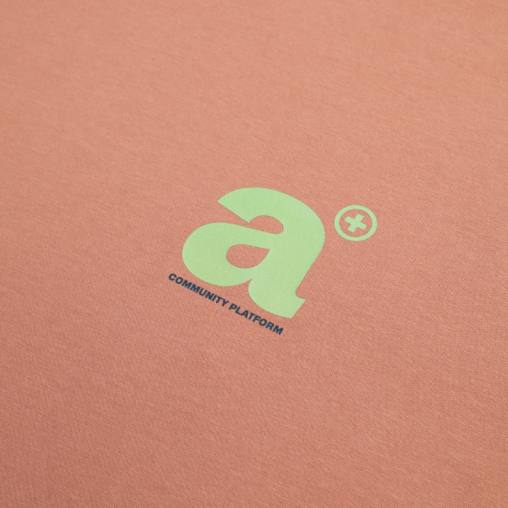 Футболка Appetite High Mark Fwd app25-fwd-lb (light brick)