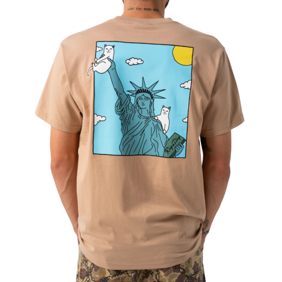 Футболка Ripndip Liberty Pocket Tee RNDSPR25157 (almond)