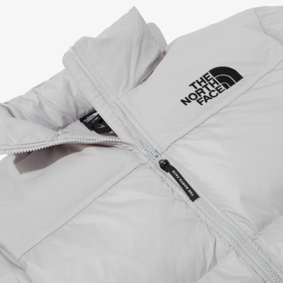 Пуховик The North Face Nuptse On Ball Jacket NJ3NP55C (light grey)