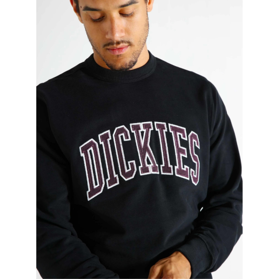 Толстовка Dickies Aitkin Sweatshirt DK0A4XABJ941 (black)