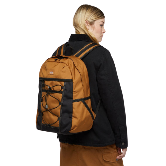 Рюкзак Dickies Ashville Backpack DK0A4Y330BD1 (brown duck)