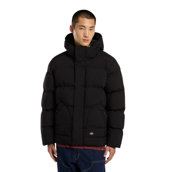 Куртка Dickies Eagleville Hooded Puffer DK0A87OHBLK1 (black)