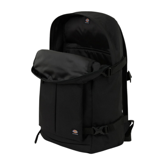 Рюкзак Dickies Mike Anderson Pro Skate Bag DK0A8675BLK1 (black)