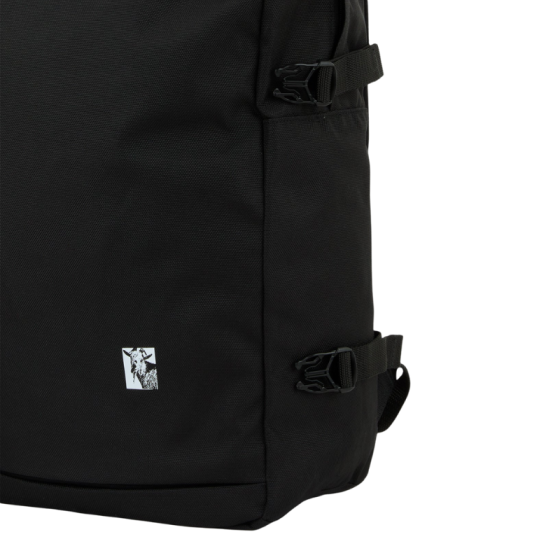 Рюкзак Dickies Mike Anderson Pro Skate Bag DK0A8675BLK1 (black)
