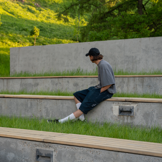 Шорты Larry Pants Larry Shorts LP24-larryshorts-navi (navi)