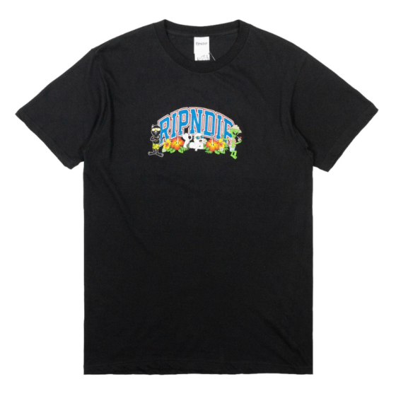 Футболка Ripndip Summer Friends Tee RND10097 (black)