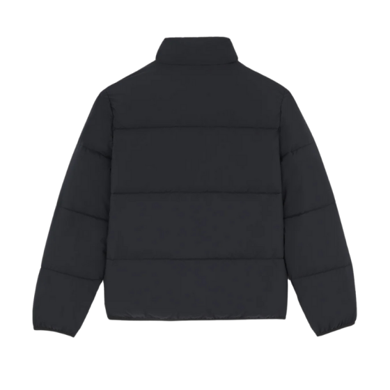 Куртка Dickies Summerdale Puffer DK0A87OGBLK1 (black)