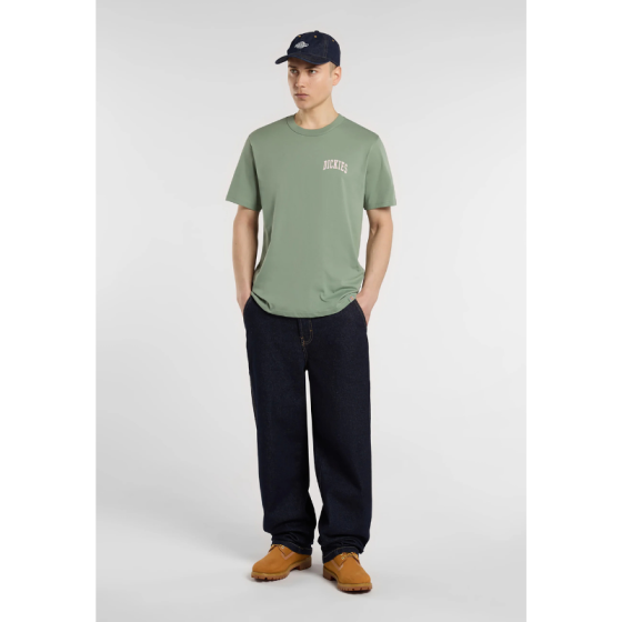 Футболка Dickies Aitkin Chest Tee Ss DK0A4Y8OL191 (sea spray)