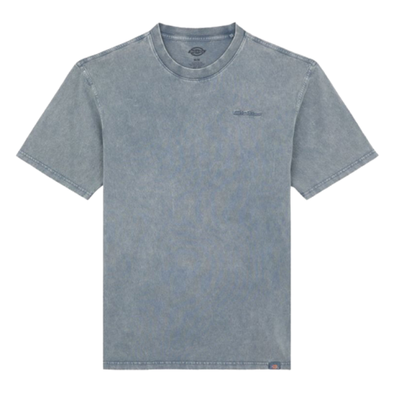Футболка Dickies Plentywood Ss Tee DK0A866BG701 (stormy weather)