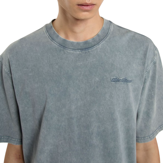 Футболка Dickies Plentywood Ss Tee DK0A866BG701 (stormy weather)