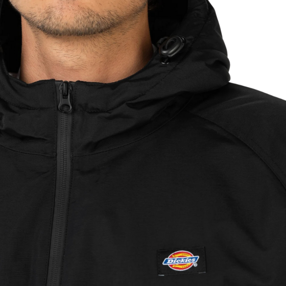 Куртка Dickies New Sarpy Jacket DK0A4XG8BLK1 (black)