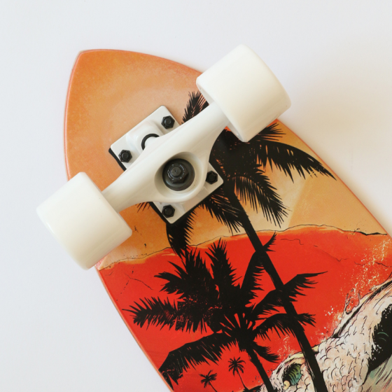 Круизер Eastcoast Surf Paradise ec-cruise-surfparadise (multi)