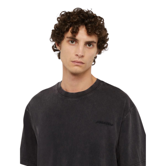 Футболка Dickies Plentywood Ss Tee DK0A866BH861 (acid wash black)