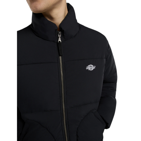 Куртка Dickies Summerdale Puffer DK0A87OGBLK1 (black)