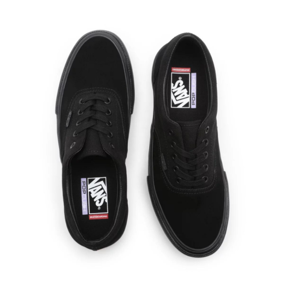 Кеды Vans Era Skate VA5FC9BKA (black black)