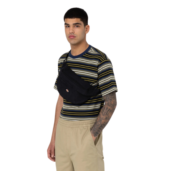 Сумка На Пояс Dickies Duck Canvas Cross Body DK0A4XOYBLK1 (black)
