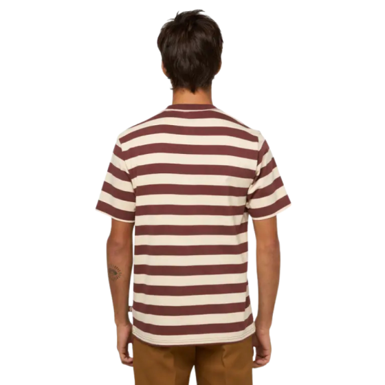 Футболка Dickies Rivergrove Ss Tee DK0A4Y8YL161 (andorra)