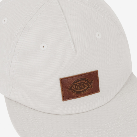 Кепка Dickies River Ranch Cap DK0A4Z6JF901 (whitecap gray)