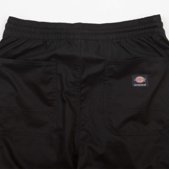 Брюки Dickies Mount Vista Pant DK0A4Y22BLK1 (black)
