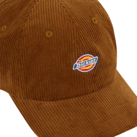 Кепка Dickies Hardwick Corduroy Cap DK0A4ZAY0BD1 (brown duck)