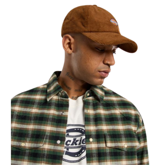 Кепка Dickies Hardwick Corduroy Cap DK0A4ZAY0BD1 (brown duck)