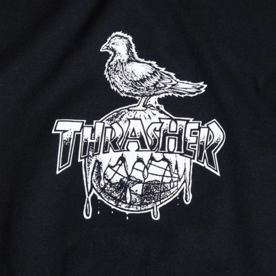 Футболка Thrasher Cover The Earth 311615blk (black)