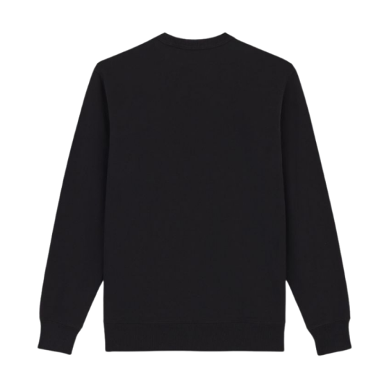 Толстовка Dickies Aitkin Sweatshirt DK0A4XABJ941 (black)