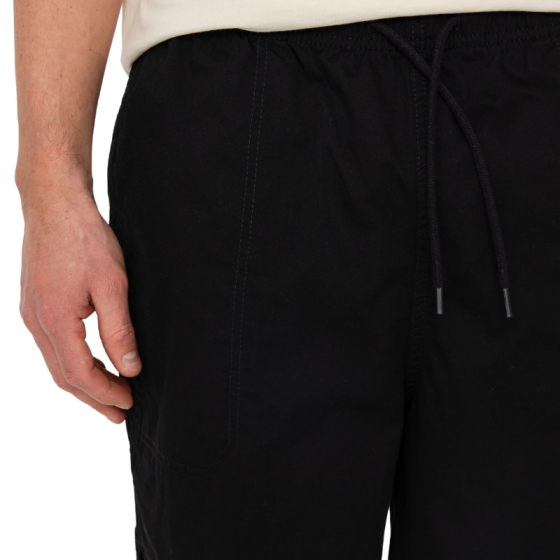 Шорты Dickies Pelican Rapids DK0A4XB2BLK1 (black)