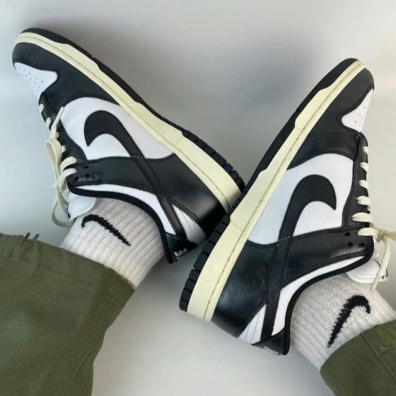 Кроссовки Nike W Dunk Low Prm FQ8899-100 (white-black-coconut milk)