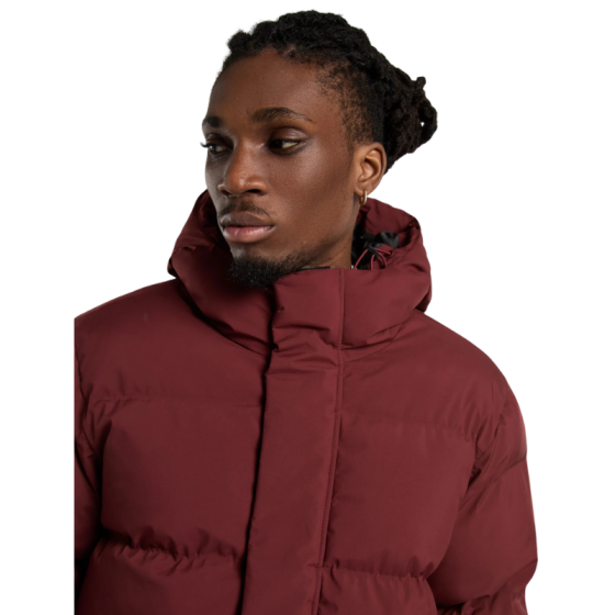 Куртка Dickies Eagleville Hooded Puffer DK0A87OHL161 (andorra)