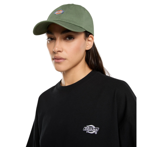 Кепка Dickies Hardwick Cap DK0A4TKVL191 (sea spray)