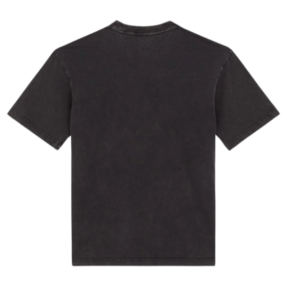 Футболка Dickies Plentywood Ss Tee DK0A866BH861 (acid wash black)