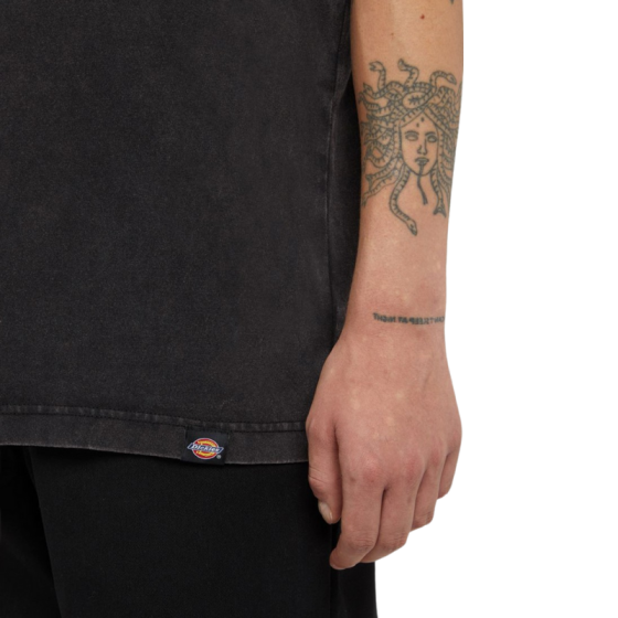 Футболка Dickies Plentywood Ss Tee DK0A866BH861 (acid wash black)