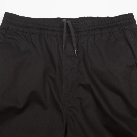 Брюки Dickies Mount Vista Pant DK0A4Y22BLK1 (black)