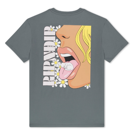 Футболка Ripndip Taste Like Nerm Tee RNDFAL24169 (charcoal)