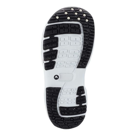 Ботинки Для Сноуборда Burton Ruler BOA 20317101313 (clover)