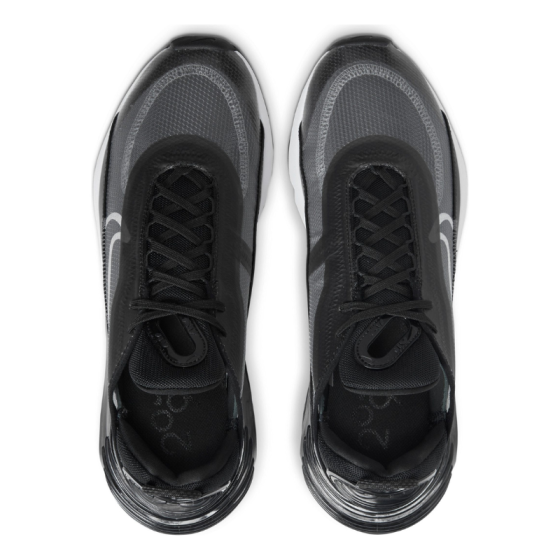 Кроссовки Nike Air Max 2090 CW7306-001 (black-white-wolf grey)