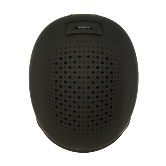 Шлем Горнолыжный Alpina Banff Mips A9244_30 (black matt)