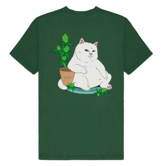 Футболка Ripndip Flower Boy Tee RND10093 (olive)