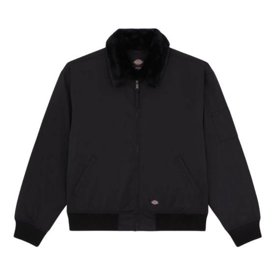 Куртка Dickies Coalfield Flight Jacket DK0A88BMBLK1 (black)