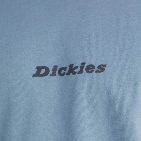 Футболка Dickies Enterprise Tee Ss DK0A4YRNG701 (stormy weather)