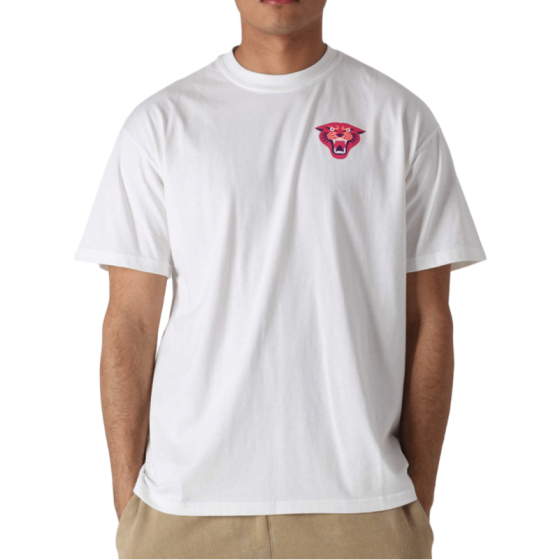 Футболка Nike SB Panther Tee DN7289-100 (white)