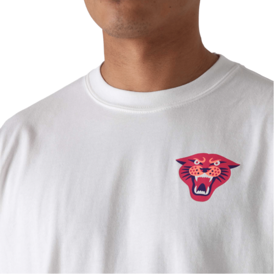 Футболка Nike SB Panther Tee DN7289-100 (white)