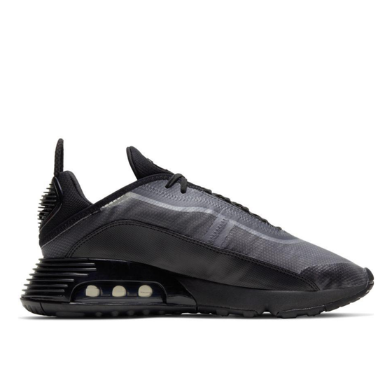 Кроссовки Nike Air Max 2090 BV9977-001 (black-white-wolf grey)