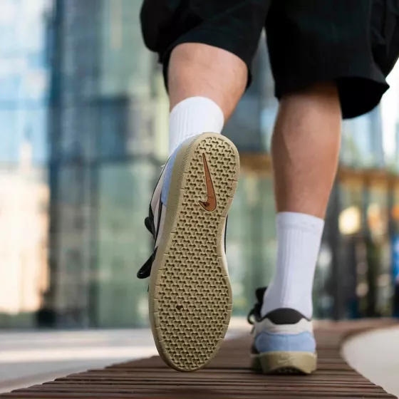 Кеды Nike SB Force 58 DV5477-102 (lt orewood brn-medium ash)