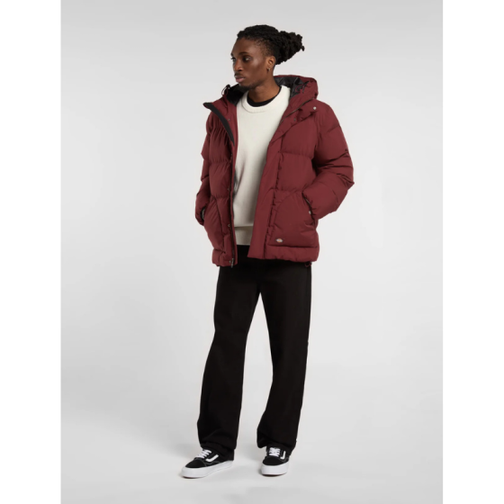 Куртка Dickies Eagleville Hooded Puffer DK0A87OHL161 (andorra)